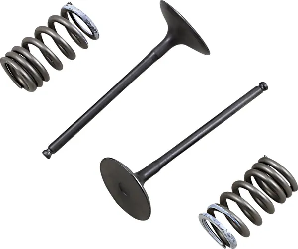 Valve And Spring Kit-0