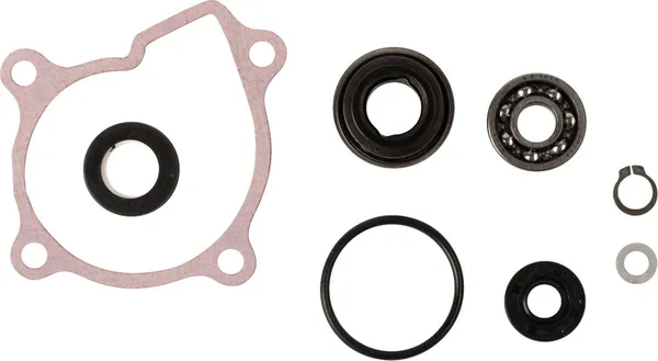Water Pump Rebuild Kit