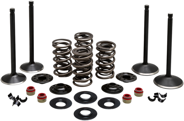 Engine Kit, 1, nordicamoto.ro