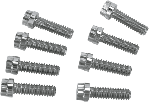 Bolt Kit Lftr Blk 99-16bt Silver, 1, nordicamoto.ro