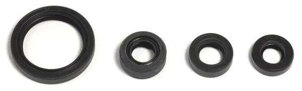 Engine Oil Seal-b9cbbfd7e64fcc01bde7882f9ab4520b.webp