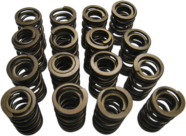 Valve Spring Kit, 1, nordicamoto.ro