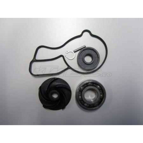 WATER PUMP REP. KIT 06-13