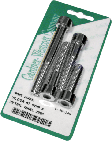 Caliper Mounting Bolt Kit Silver, 1, nordicamoto.ro
