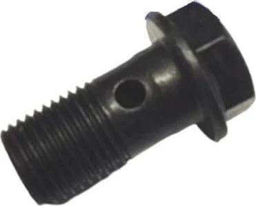 HOLLOW SCREW M10X1X19