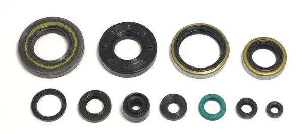 Engine Oil Seal-bf9187850c5cf2c9a759c01ea8e836ce.webp