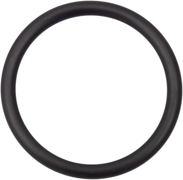 Starter O Ring Black, 1, nordicamoto.ro