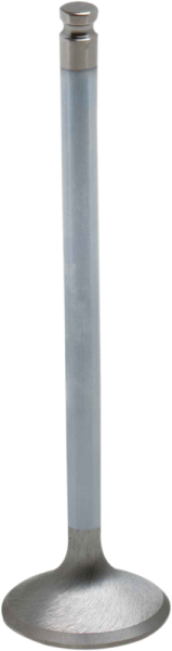 White Diamond Engine Valve Standard, 1, nordicamoto.ro