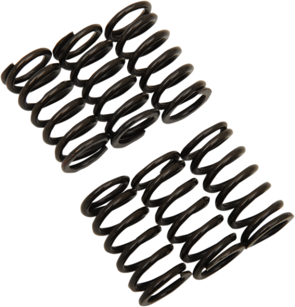 Clutch Spring Kit Black, 1, nordicamoto.ro