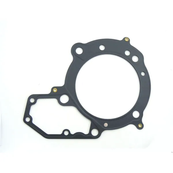 Cylinder Head Gasket-0