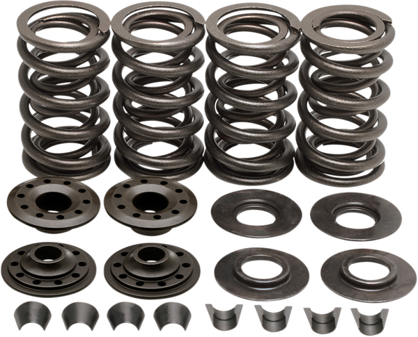 Valve Spring Kit, 1, nordicamoto.ro