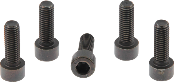 Fork Bridge Screws Black, 1, nordicamoto.ro