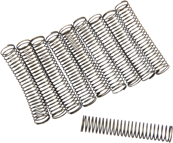 Oil Pump Check Valve Springs, 1, nordicamoto.ro