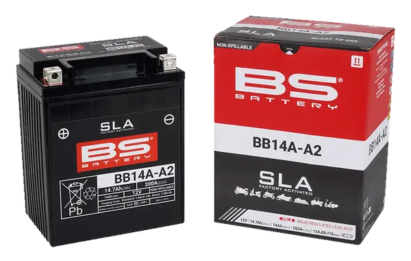 Sla Factory-activated Agm Maintenance-free Batteries Black-0