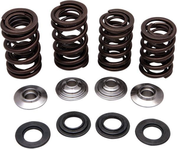 Valve Spring Kit, 1, nordicamoto.ro