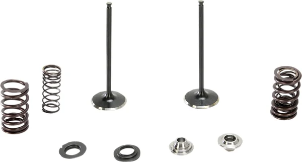 Stainless Intake Valve And Spring Kit, 1, nordicamoto.ro