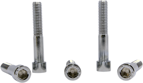 Replacement Socket Head Bolts Silver, 2, nordicamoto.ro