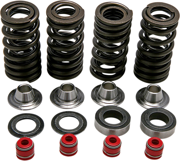 Valve Spring Kit, 1, nordicamoto.ro