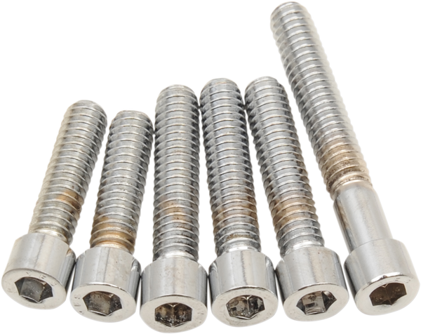 Cover Bolt Set Silver, 1, nordicamoto.ro