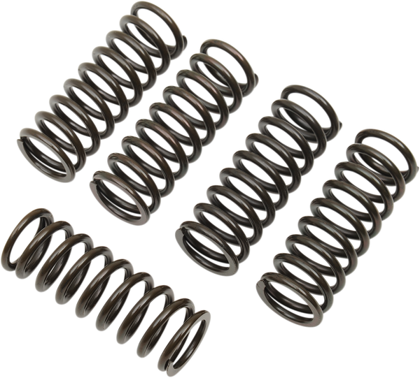 Clutch Spring Kit Black, 1, nordicamoto.ro