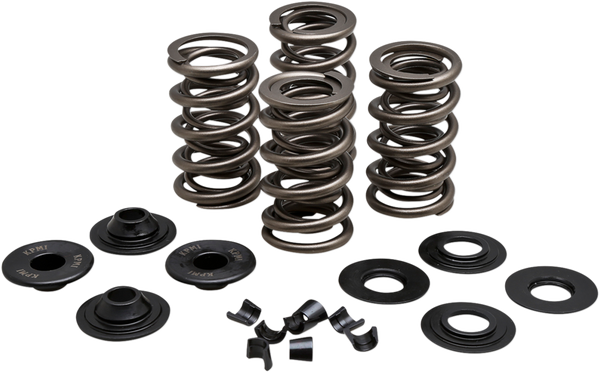 Valve Spring Kit, 1, nordicamoto.ro