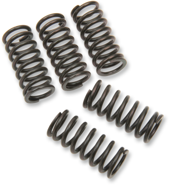 Set arcuri pentru ambreiaj, 1, nordicamoto.ro