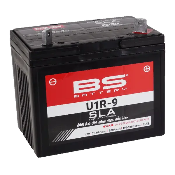 Sla Factory-activated Agm Maintenance-free Batteries Black-2