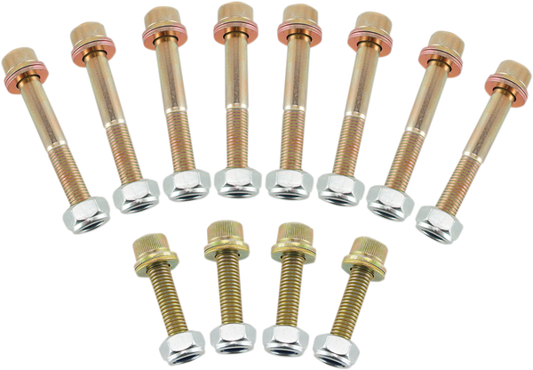 Replacement Roll Cage Hardware Kit Gold, 1, nordicamoto.ro