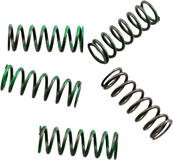 Hi-temp Clutch Spring Kit Steel, 1, nordicamoto.ro