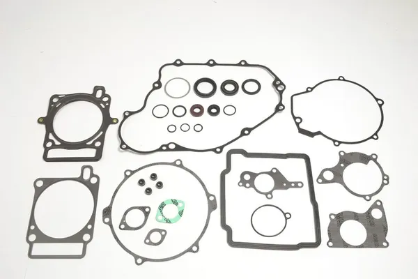 Complete Gasket Kit-cf1b7f124f82f74d3ee30eb013deebaa.webp