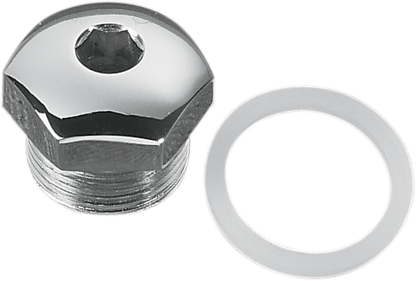 Transmission Oil Fill Plug Silver, 1, nordicamoto.ro