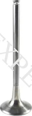 EXHAUST VALVE, 1, nordicamoto.ro