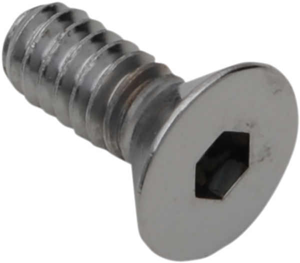 Countersunk Socket-head Bolts Silver, 2, nordicamoto.ro