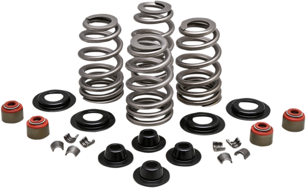 Valve Spring Kit, 1, nordicamoto.ro