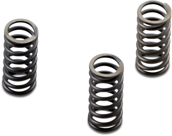 Csk Series Heavy Duty Clutch Spring Kit, 1, nordicamoto.ro