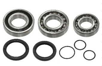 Sno-X Chain case bearing kit-0