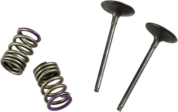 Valve And Spring Kit-1