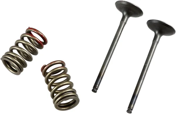 Valve And Spring Kit-1