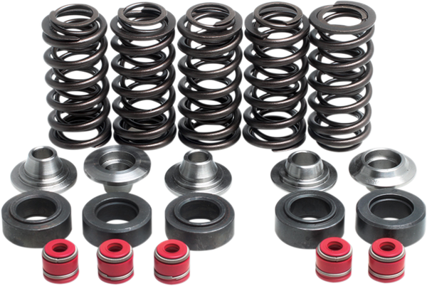 Valve Spring Kit, 1, nordicamoto.ro