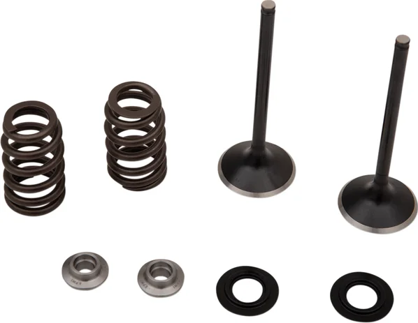 Stainless Exhaust Valve And Spring Kit, 1, nordicamoto.ro