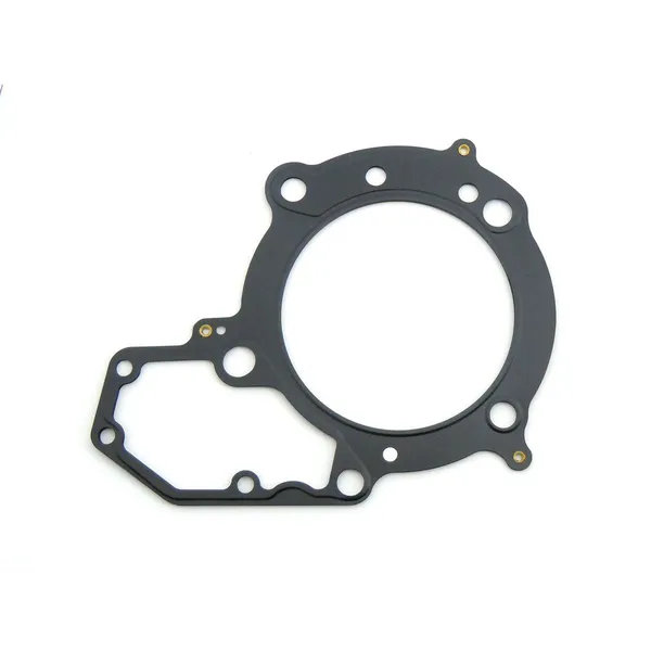 Cylinder Head Gasket-0