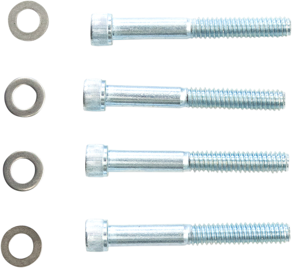 Replacement Oil Pump Screw Kit Silver, 1, nordicamoto.ro