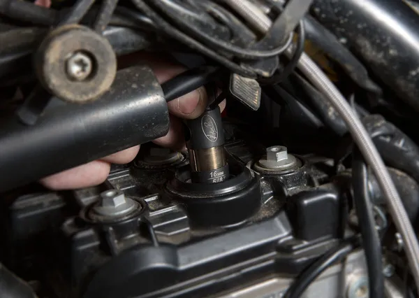 Pro Plug Socket Black, Oxide-0