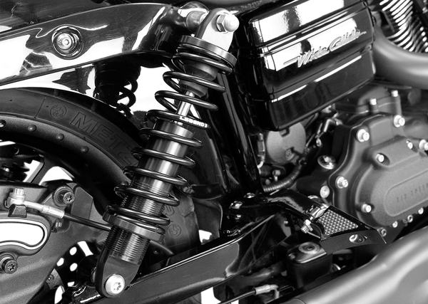 Revo Dyna Coil Suspension Black, Anodized, 3, nordicamoto.ro