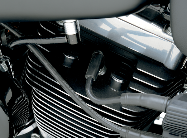 Head Bolt Cover Silver, 1, nordicamoto.ro
