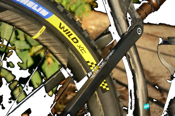 Mtb Tire Wild Xc Racing Line Black -2