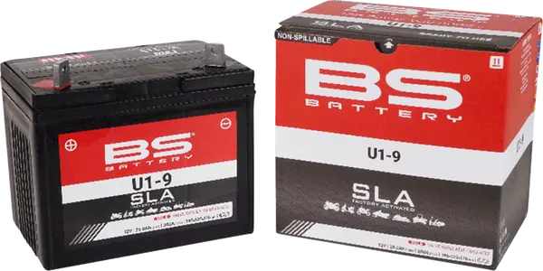 BS BATTERY Sla Factory- Activated Agm Maintenance-free Battery Black -1