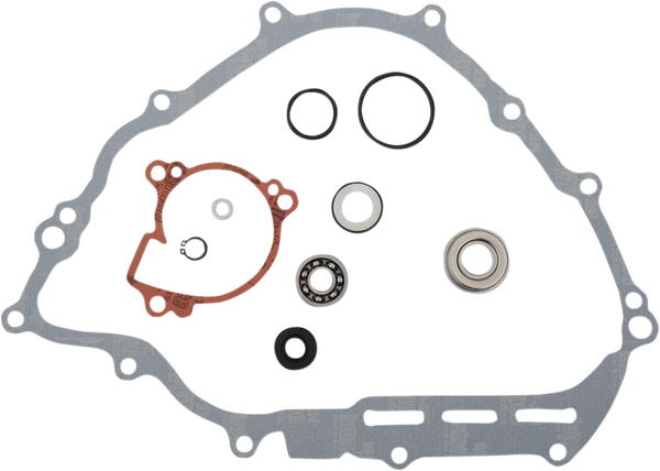 Water Pump Rebuild Kit-e7d178680c666762ac0cafd136247382.webp