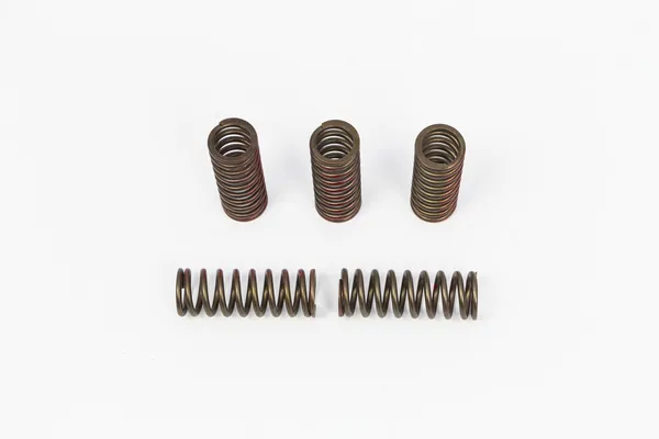 Clutch Spring Set Bronze-1