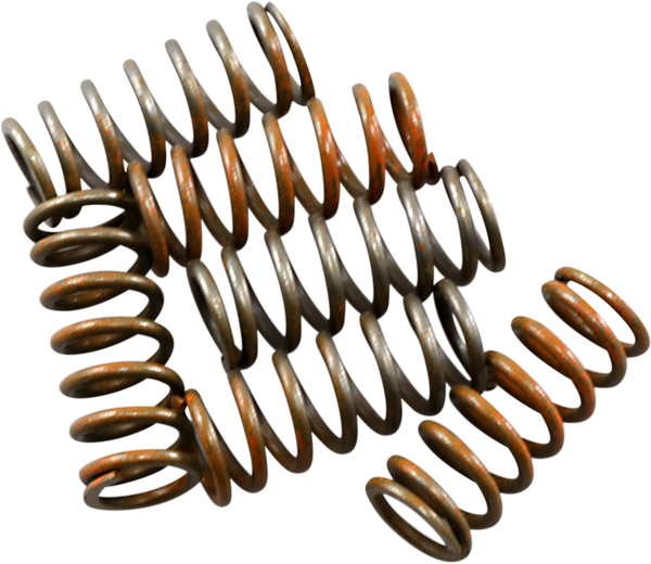 Hi-temp Clutch Spring Kit Steel, 1, nordicamoto.ro